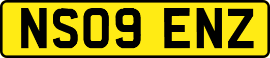 NS09ENZ