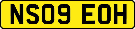 NS09EOH