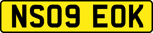 NS09EOK