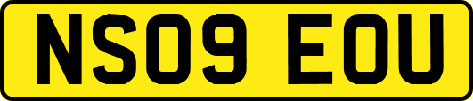 NS09EOU