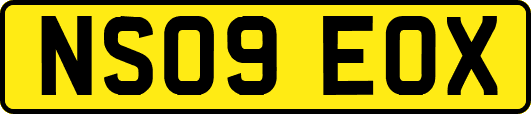 NS09EOX