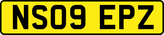 NS09EPZ