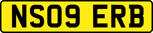 NS09ERB