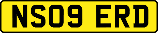 NS09ERD