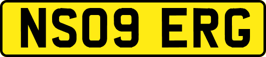 NS09ERG