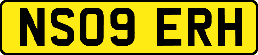 NS09ERH
