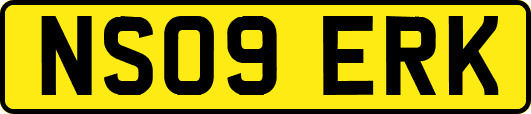 NS09ERK