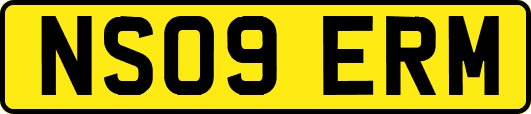 NS09ERM