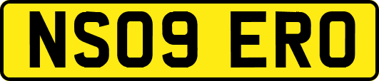 NS09ERO