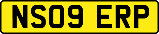 NS09ERP