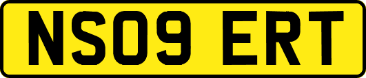 NS09ERT