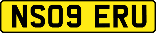 NS09ERU