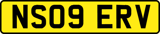NS09ERV