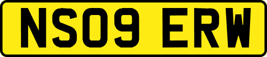 NS09ERW