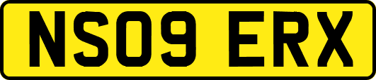 NS09ERX