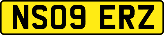 NS09ERZ
