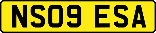 NS09ESA