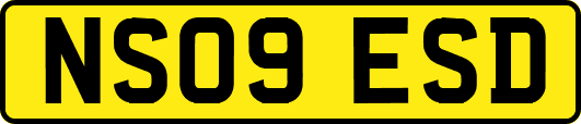 NS09ESD