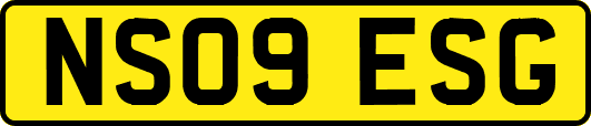NS09ESG