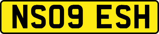 NS09ESH