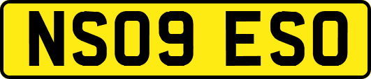 NS09ESO