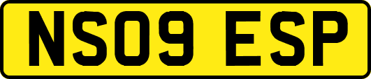 NS09ESP
