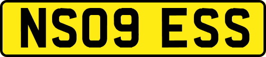 NS09ESS