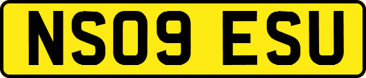 NS09ESU