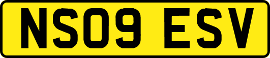 NS09ESV
