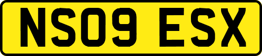 NS09ESX