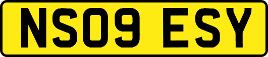NS09ESY