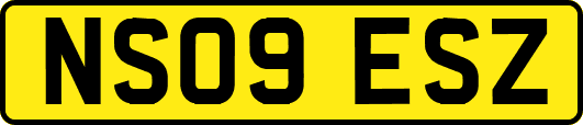 NS09ESZ