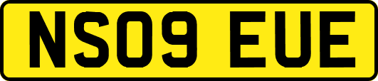 NS09EUE