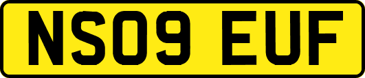 NS09EUF