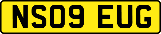 NS09EUG