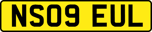 NS09EUL