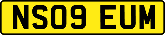 NS09EUM
