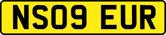 NS09EUR