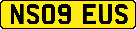 NS09EUS