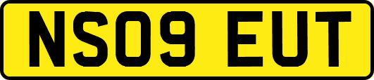 NS09EUT
