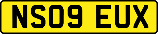 NS09EUX