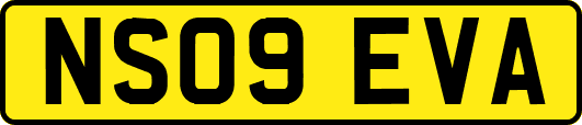 NS09EVA