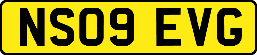 NS09EVG
