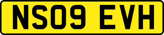 NS09EVH