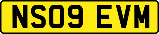 NS09EVM