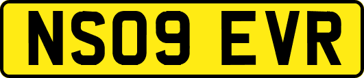 NS09EVR