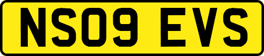NS09EVS