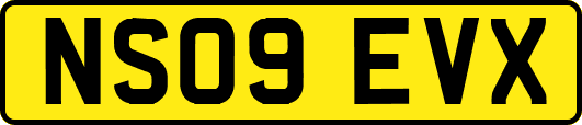 NS09EVX
