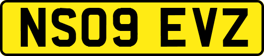 NS09EVZ