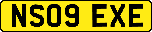 NS09EXE